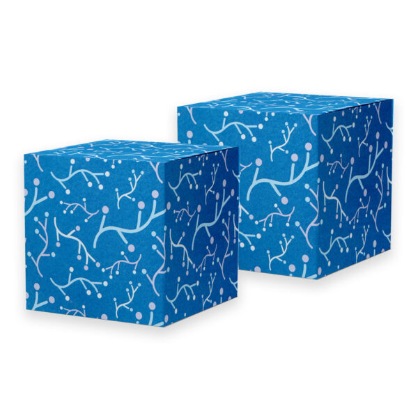 Blue Curves - Image 3
